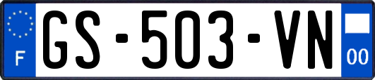 GS-503-VN