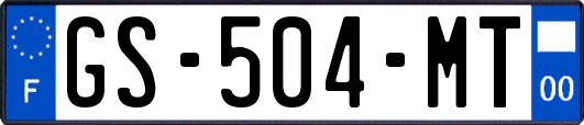GS-504-MT