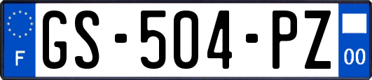 GS-504-PZ