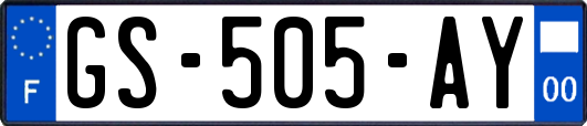 GS-505-AY