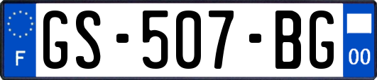 GS-507-BG