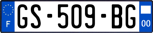 GS-509-BG