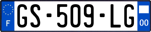 GS-509-LG