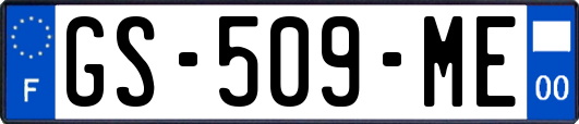 GS-509-ME