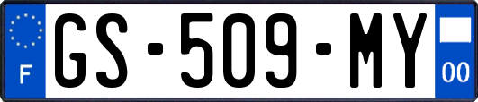 GS-509-MY