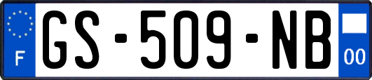 GS-509-NB
