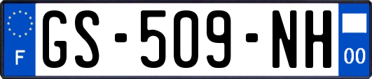 GS-509-NH