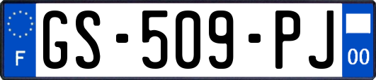 GS-509-PJ