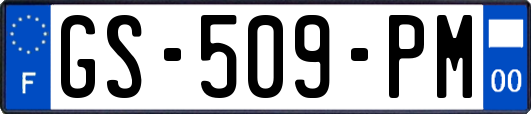 GS-509-PM