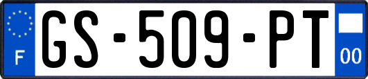 GS-509-PT