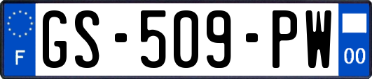 GS-509-PW