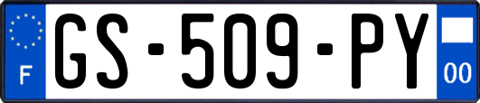 GS-509-PY