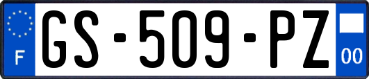 GS-509-PZ