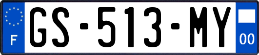 GS-513-MY
