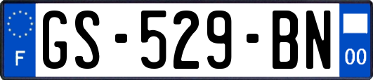 GS-529-BN