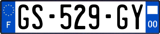 GS-529-GY