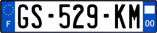 GS-529-KM