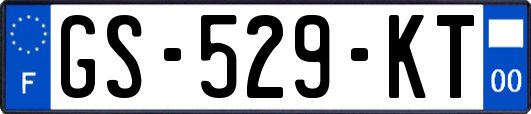 GS-529-KT