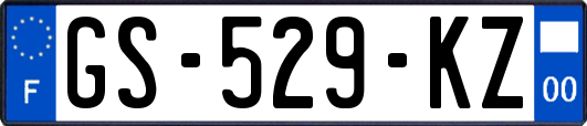 GS-529-KZ