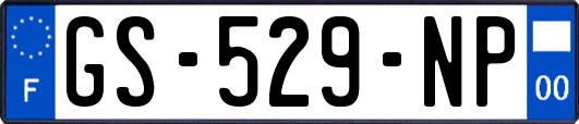 GS-529-NP