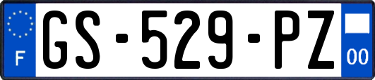GS-529-PZ