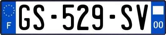 GS-529-SV