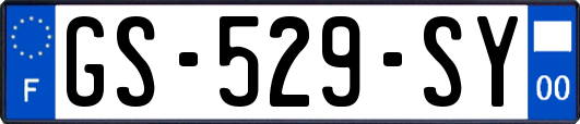 GS-529-SY