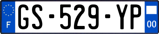GS-529-YP