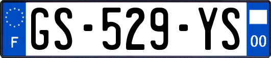 GS-529-YS