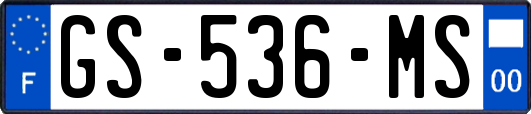 GS-536-MS