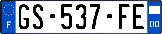 GS-537-FE