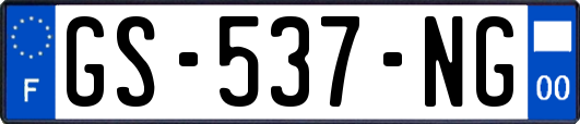 GS-537-NG