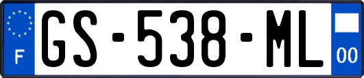 GS-538-ML