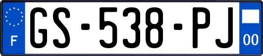 GS-538-PJ