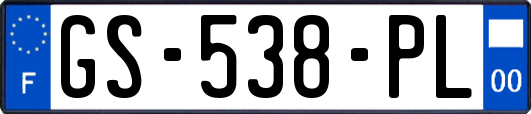 GS-538-PL