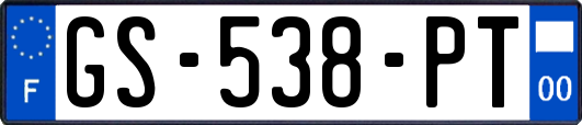GS-538-PT