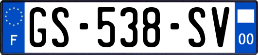 GS-538-SV
