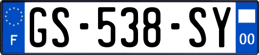 GS-538-SY