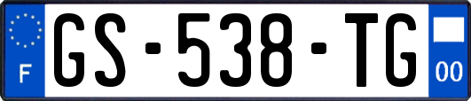 GS-538-TG