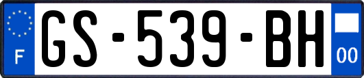 GS-539-BH