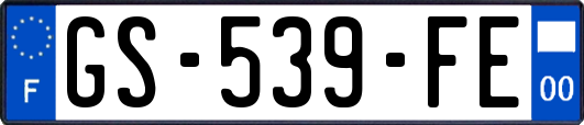 GS-539-FE