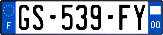 GS-539-FY