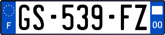 GS-539-FZ