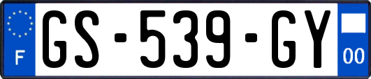 GS-539-GY