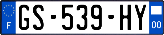 GS-539-HY