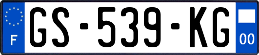 GS-539-KG
