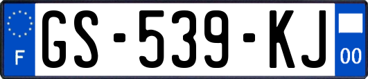 GS-539-KJ