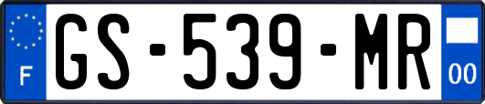 GS-539-MR