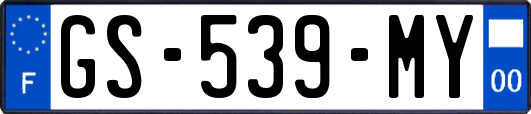 GS-539-MY