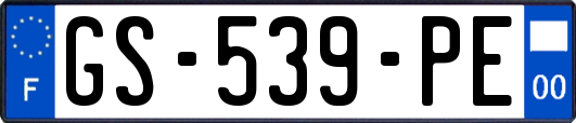 GS-539-PE